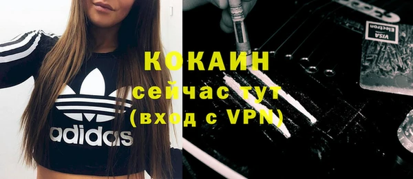 шишки Сафоново