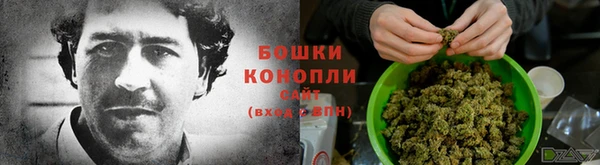 Альфа ПВП Елабуга