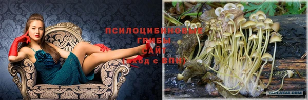 стафф Сатка
