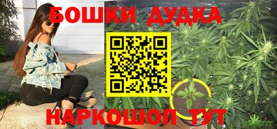прущие грибы Кунгур
