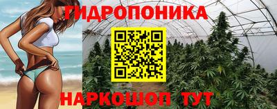 ECSTASY Коммунар