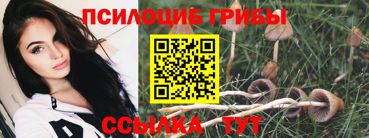 Псилоцибиновые грибы прущие грибы  наркошоп  Вход с VPN  Среднеуральск  Галлюциногенные грибы мухоморы 